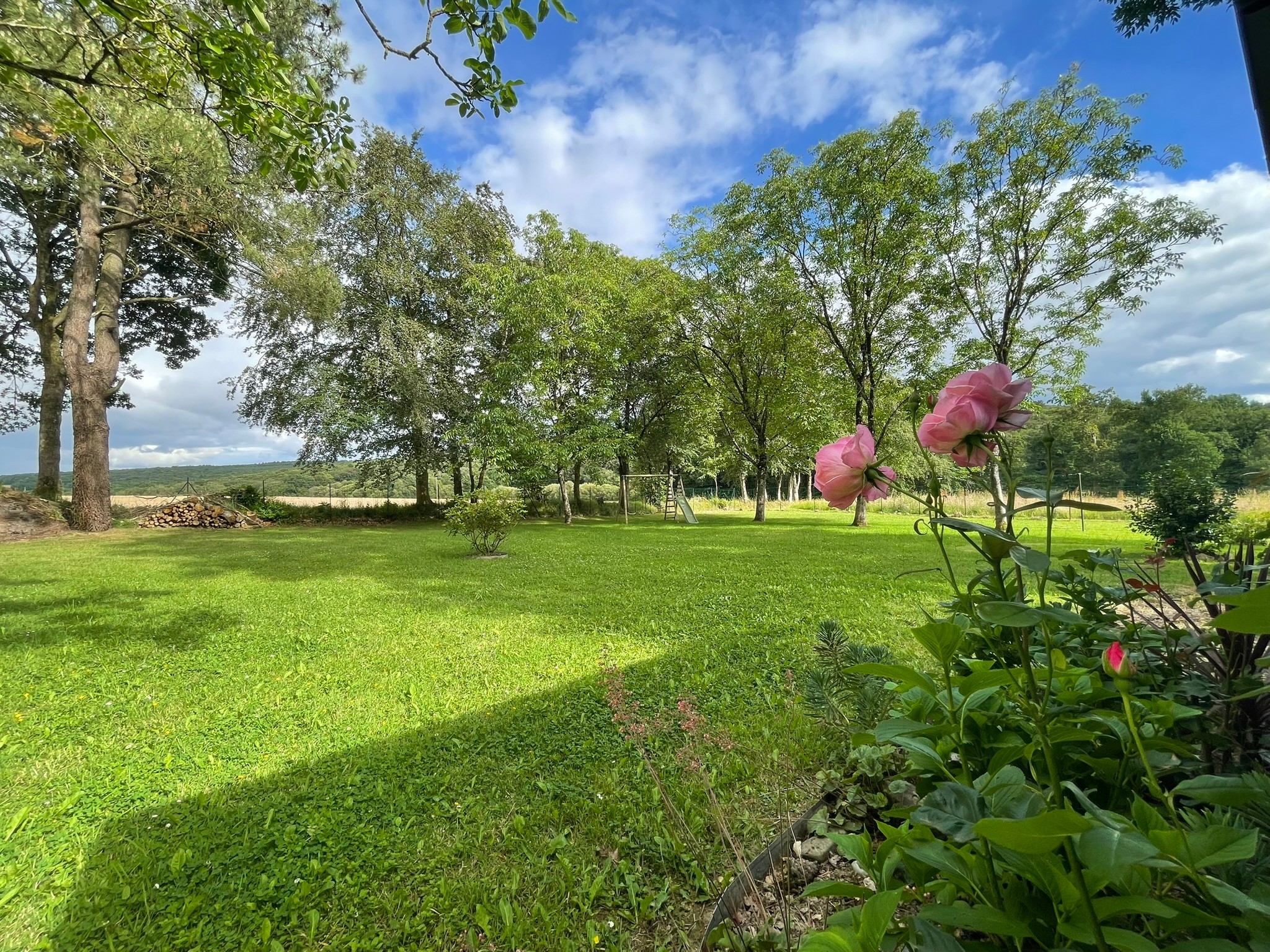 Garden – trees and woodland