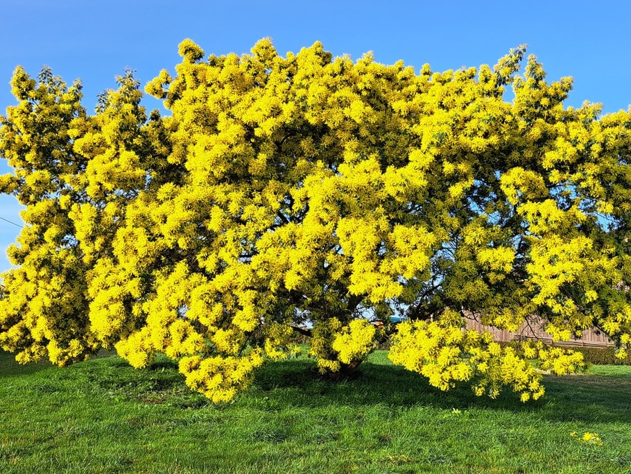 Photo n° 7 of the location