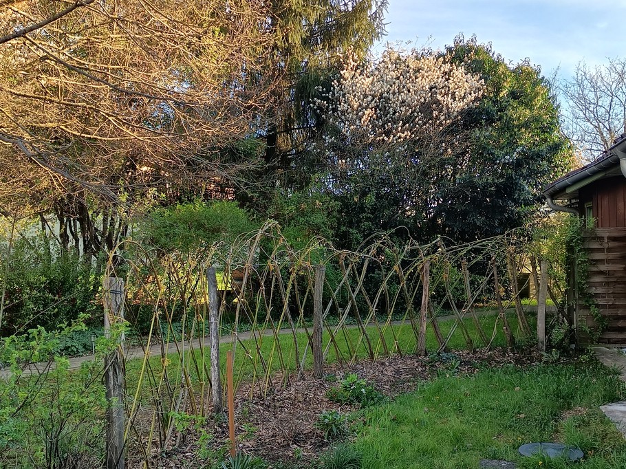 Woven wicker hedge