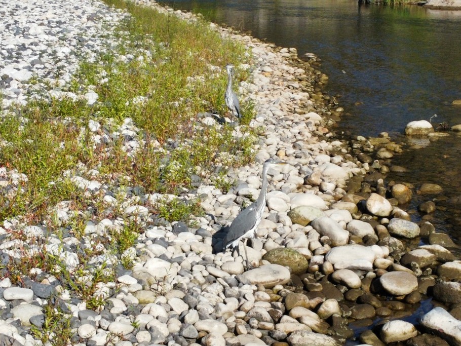Photo n° 19 of the location