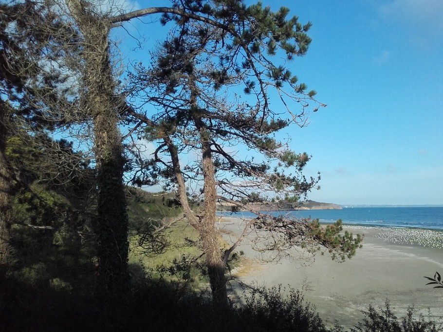 Plage Bon Abri