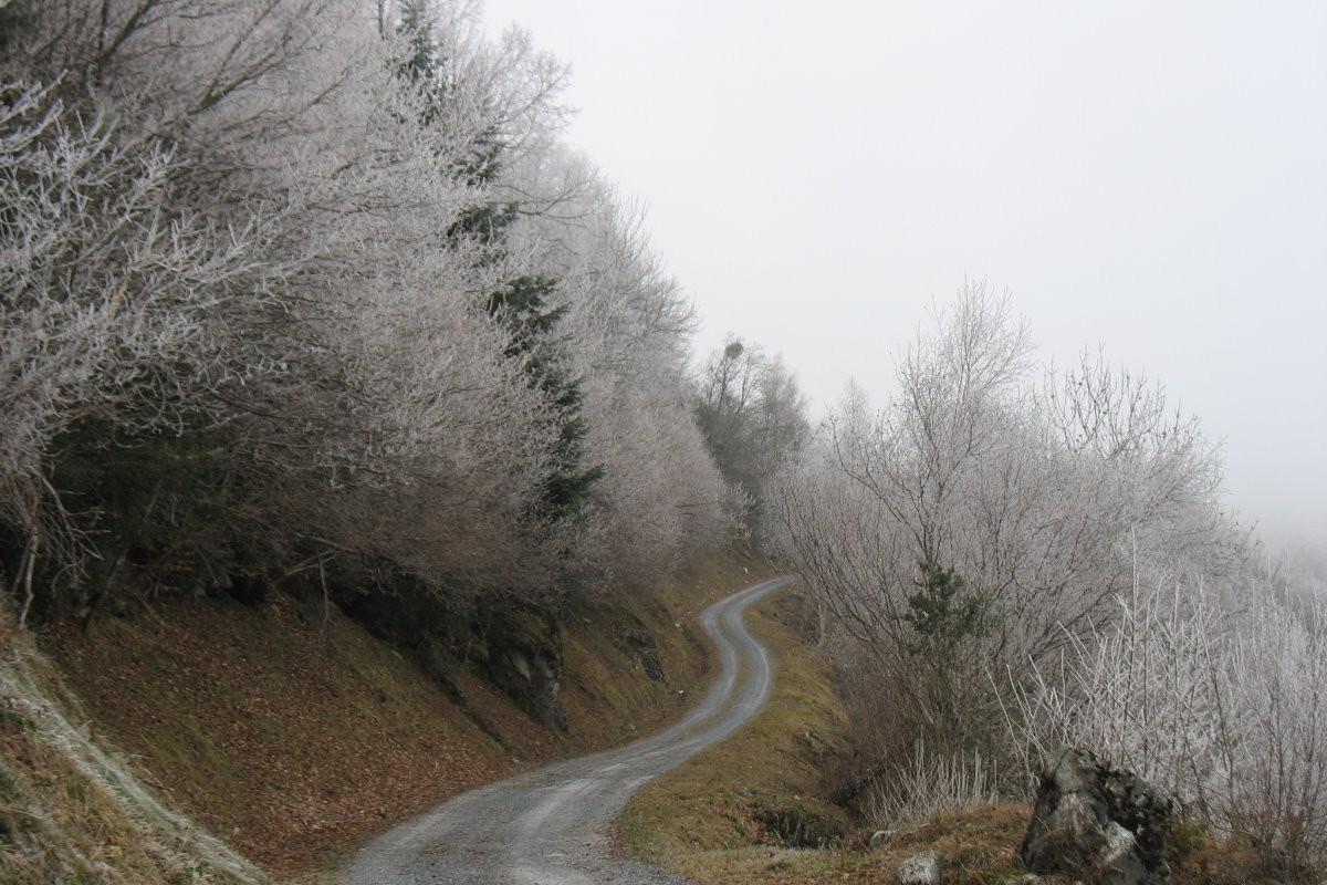 Promenade hivernale