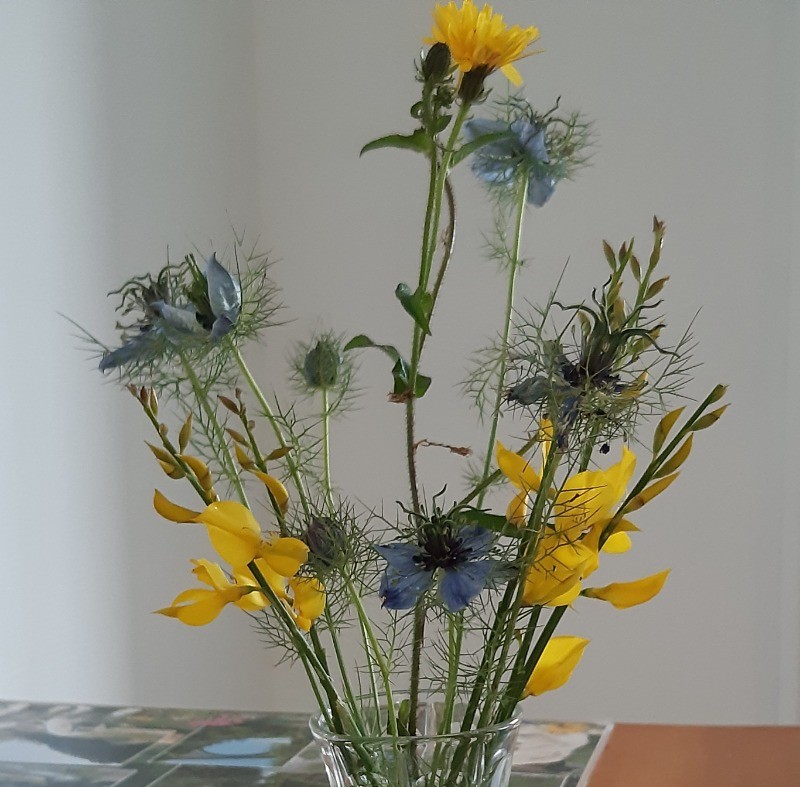 Photo n° 9 of the location