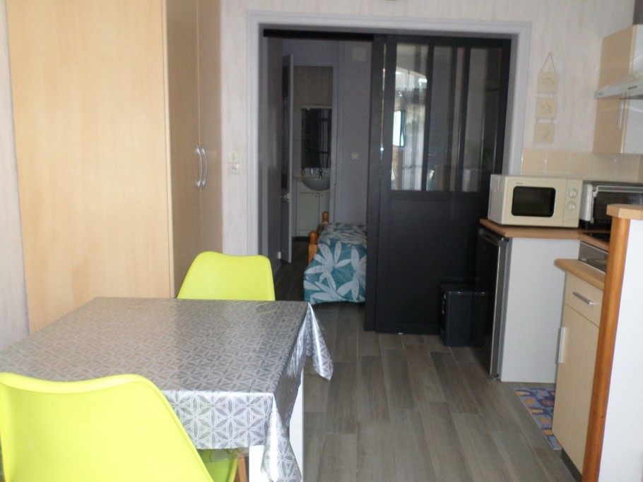 Séjour-cuisine chambre et salle d'eau au fond