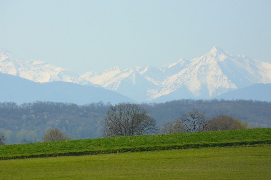 La Vue du Gite Au Bouzigues