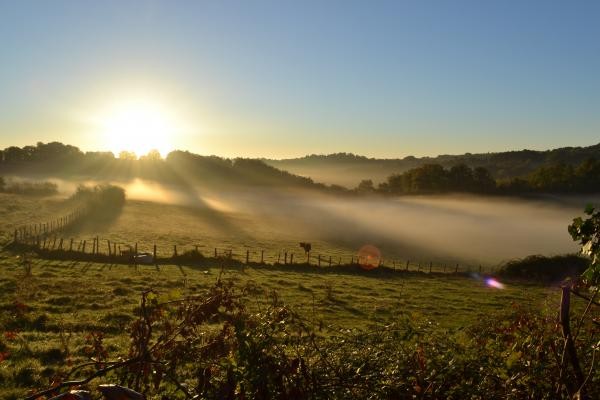 vue depuis le jardin