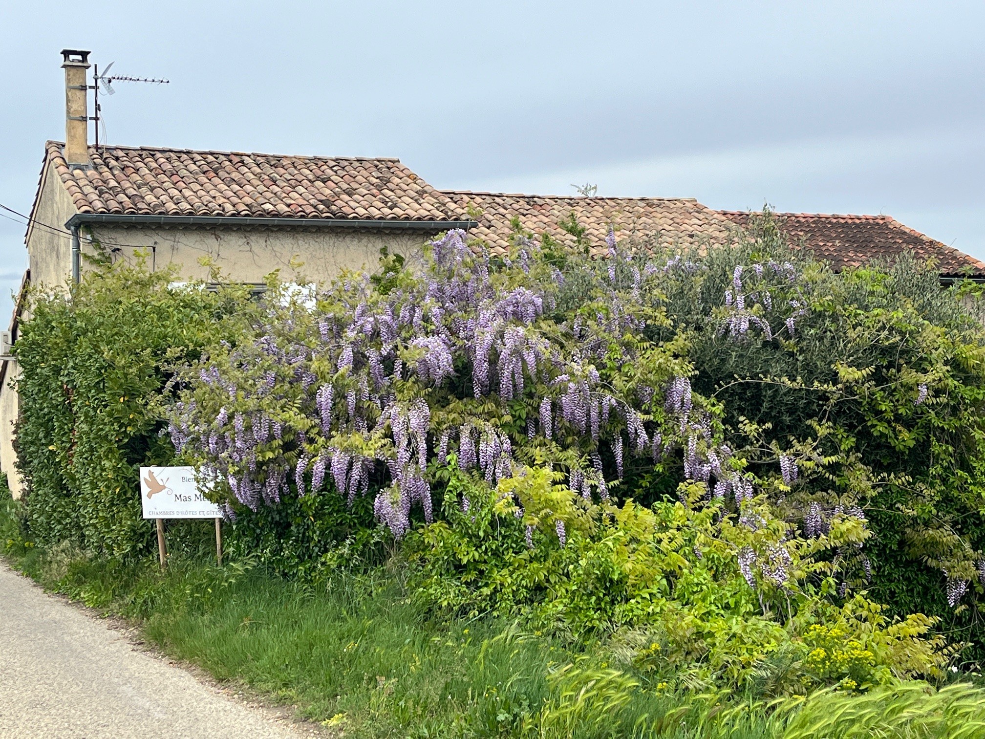 Gîte Le Levant - Le Mas Mellou