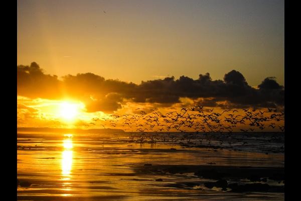 Coucher de soleil