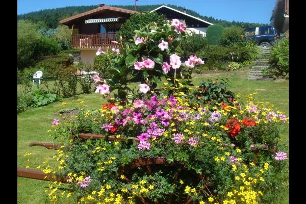 Le jardin en été - Chalet Nid Douillet