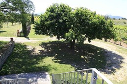Image n° 5 de la location