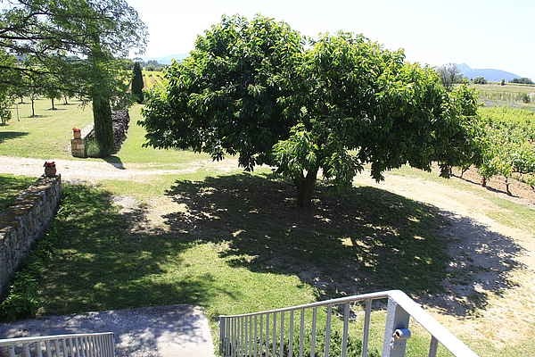 Photo n° 5 de la location