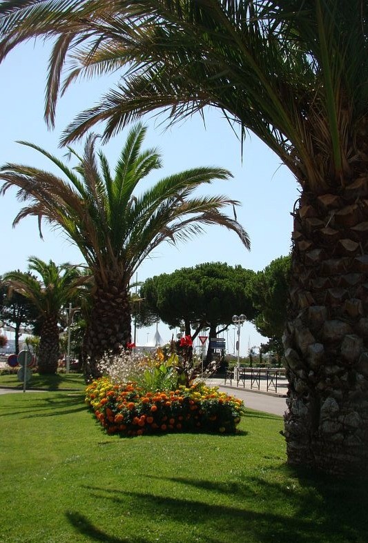 Centre ville de Royan