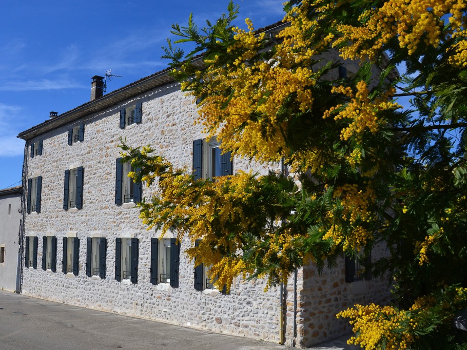 Photo n° 8 de la location