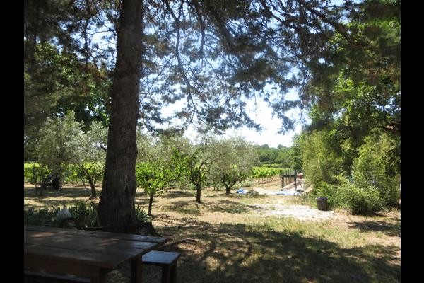 Photo n° 17 de la location