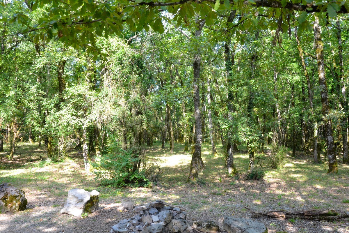 Photo n° 14 de la location