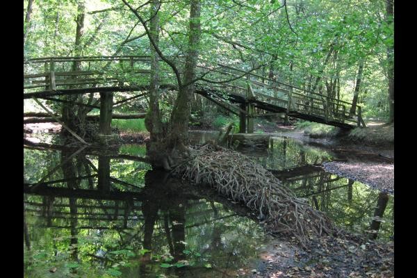 Photo n° 19 of the location