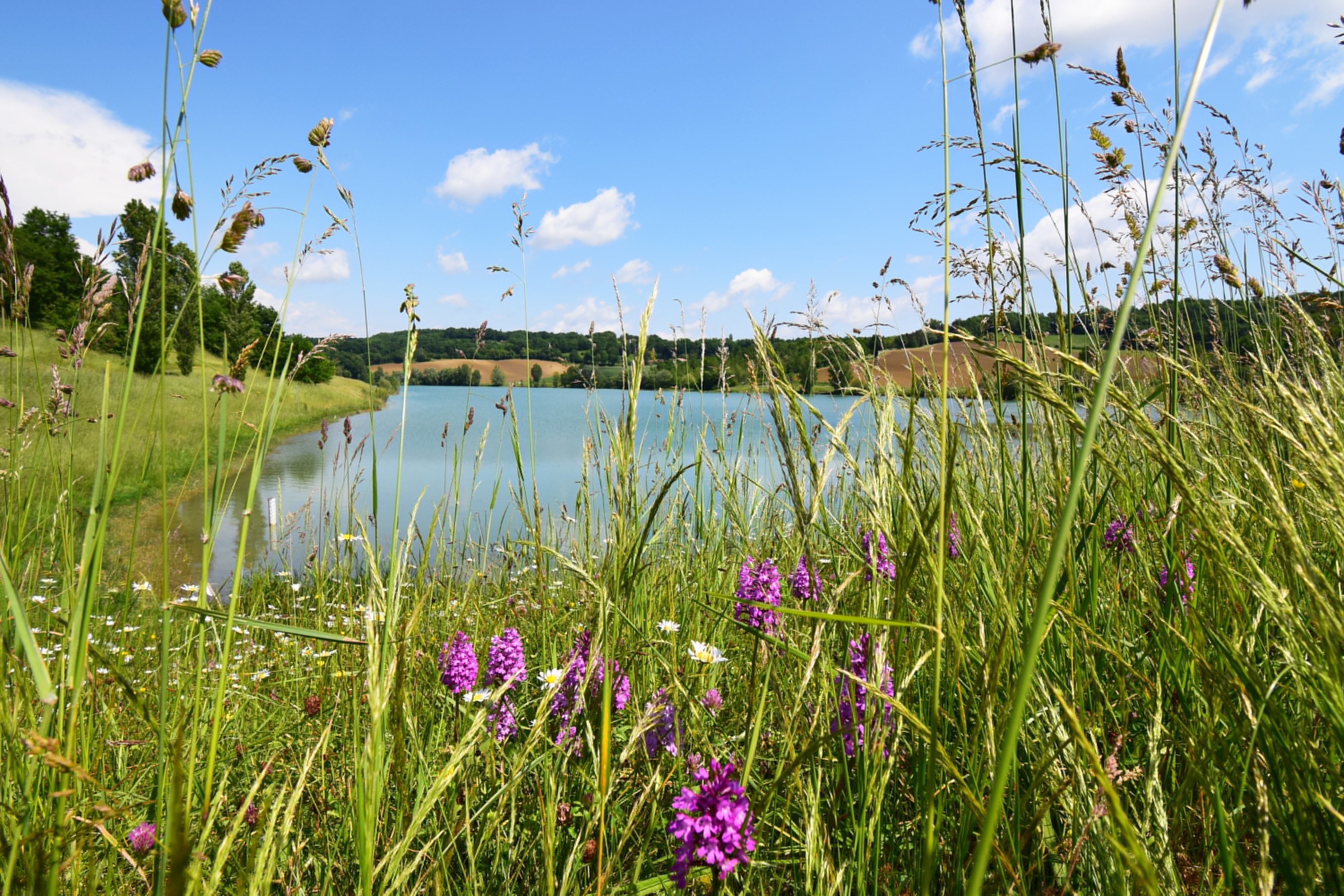 Lac de Bajamont