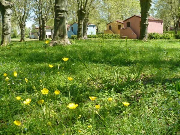 Photo n° 1 of the location
