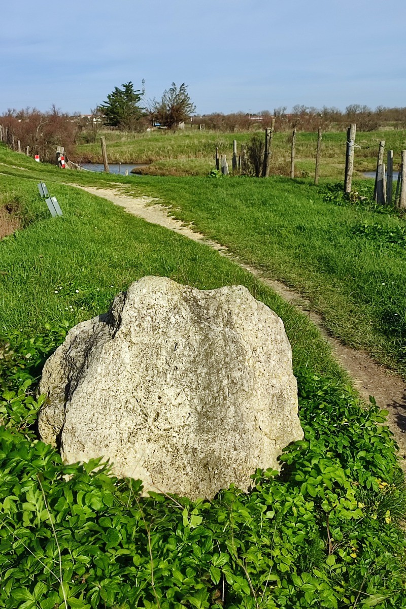 Les marais derrière la Cité de l'huître à Marennes