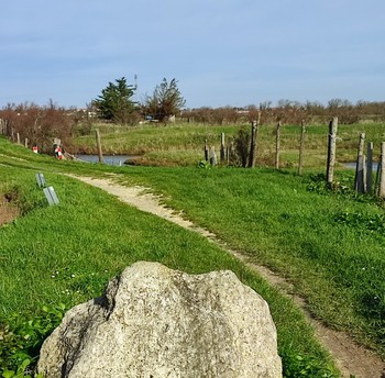 Les marais derrière la Cité de l'huître à Marennes