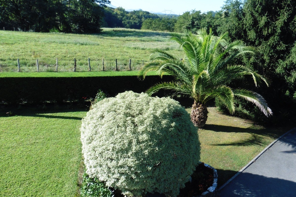 Photo n° 19 de la location