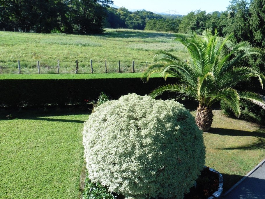 Photo n° 19 of the location