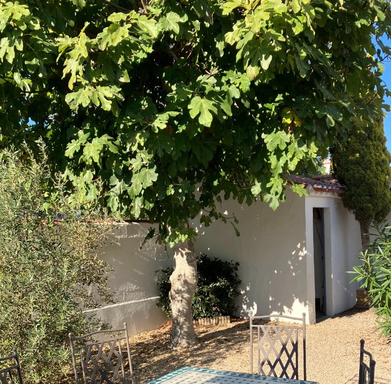 Photo n° 18 of the location