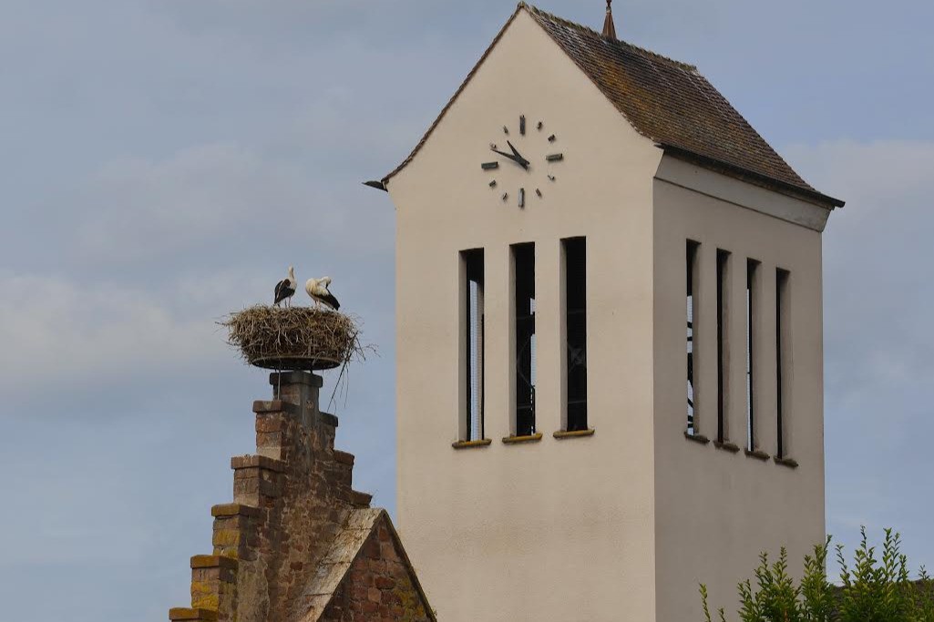 Photo n° 15 of the location