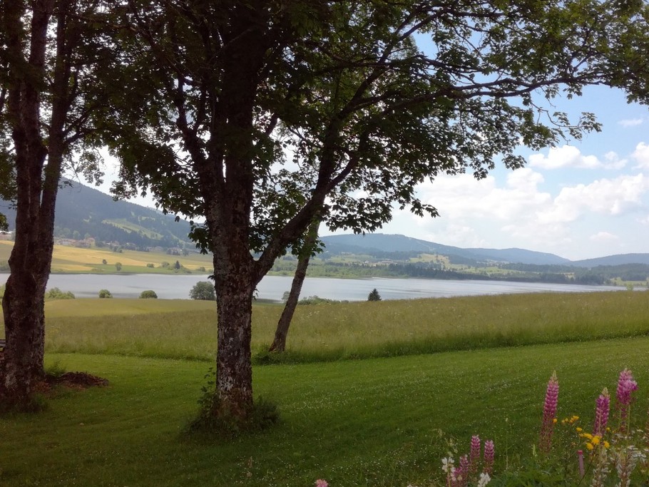 Photo n° 16 of the location