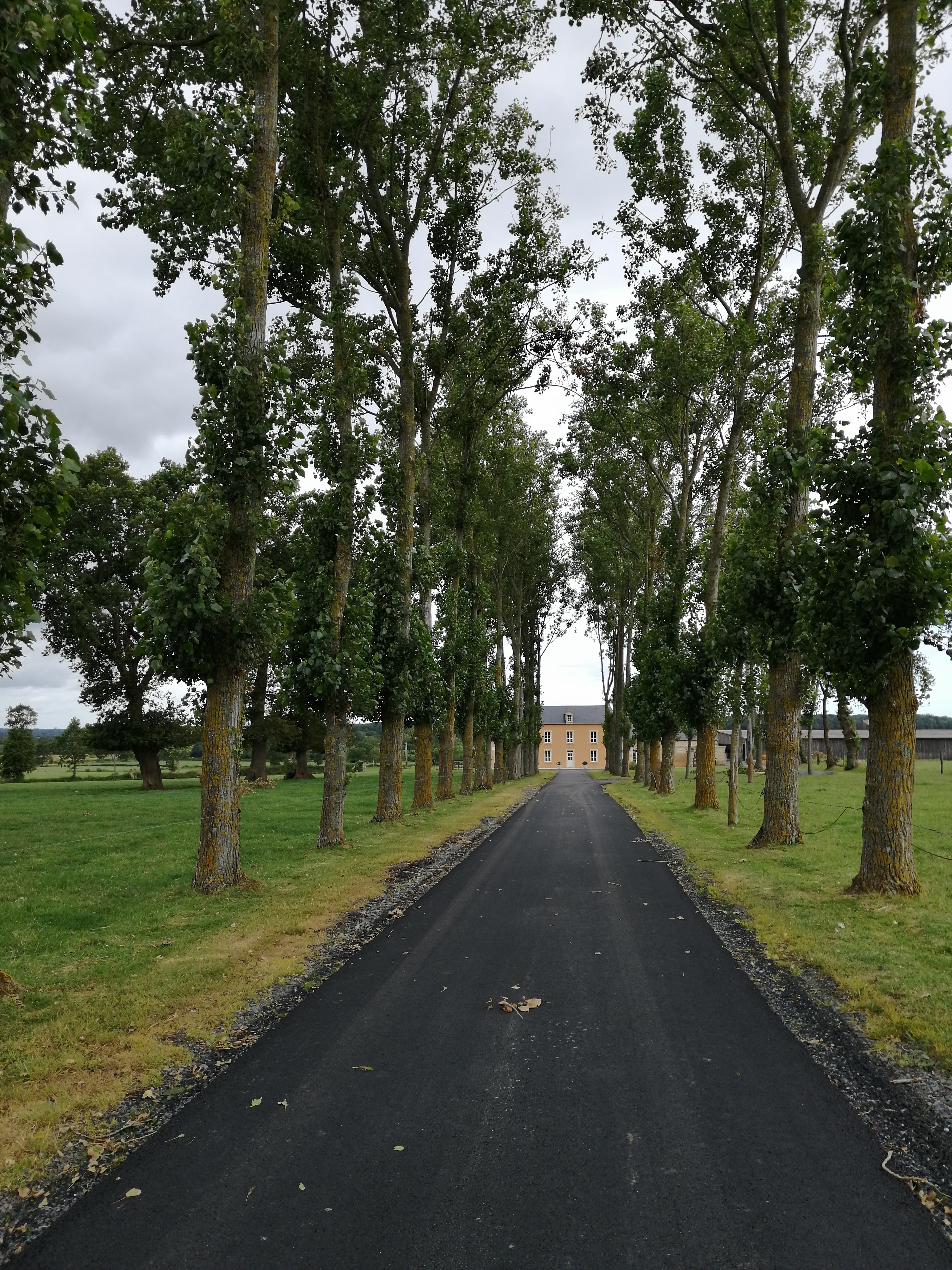 Allée D'accès du Gîte