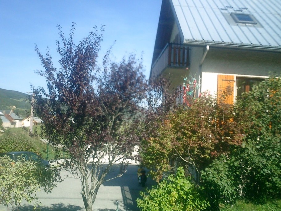 Photo n° 3 de la location