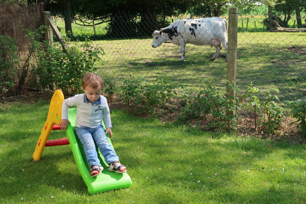 Photo n° 12 de la location
