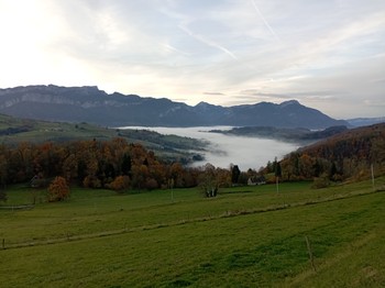 Vue du Domaine Sainte Anne avec brume matinale dans la vallée