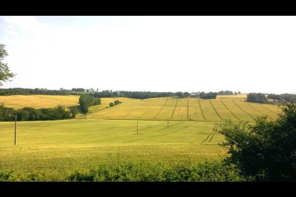 Photo n° 10 de la location