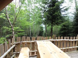 Vue sur la Clairière et aperçu sur le lac - Tente du Trappeur - Les Cabanes du Lac de Pierre Percée