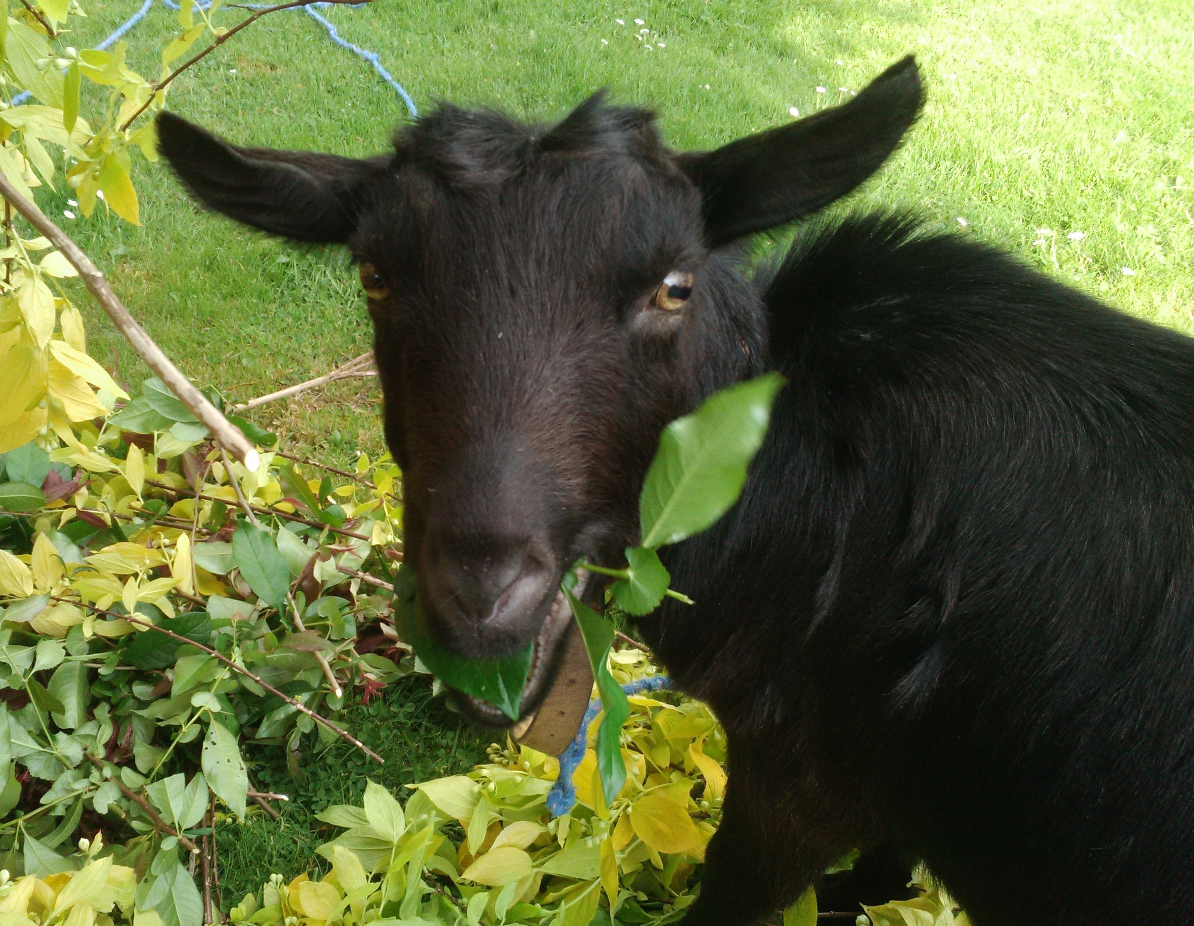 Photo n° 13 de la location