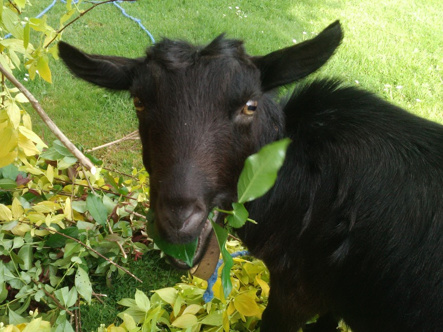 Photo n° 13 de la location