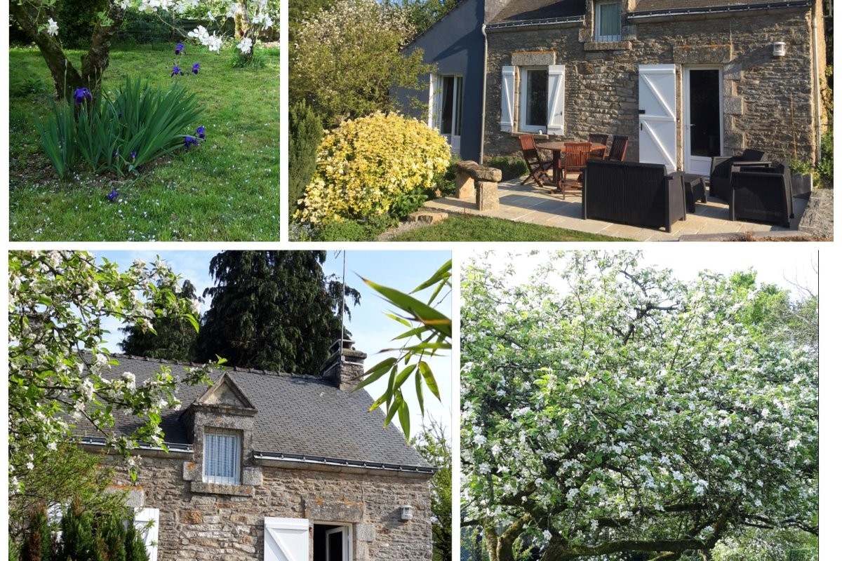 Photo n° 18 de la location