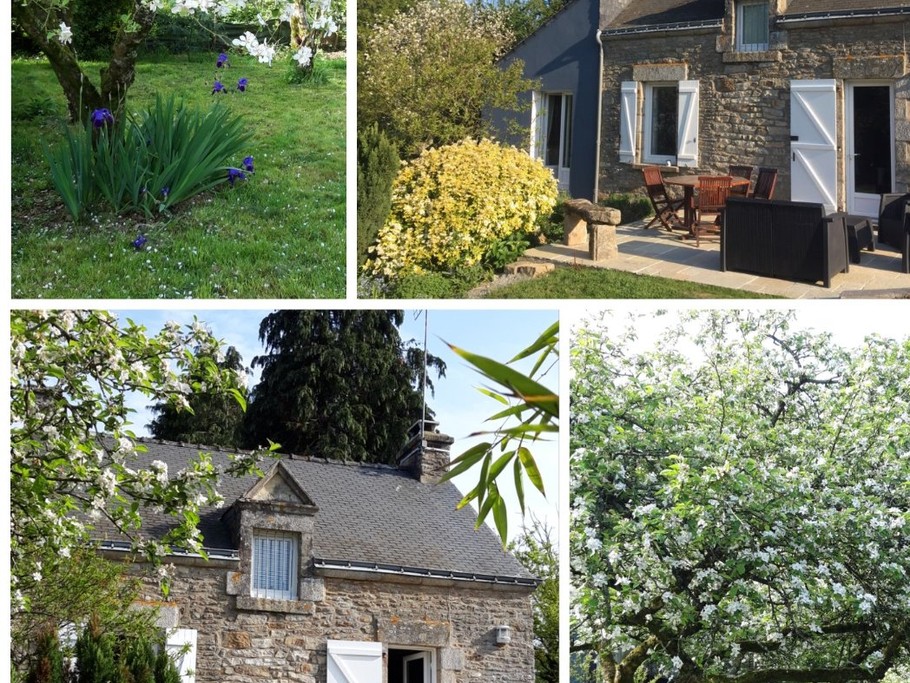 Photo n° 18 of the location