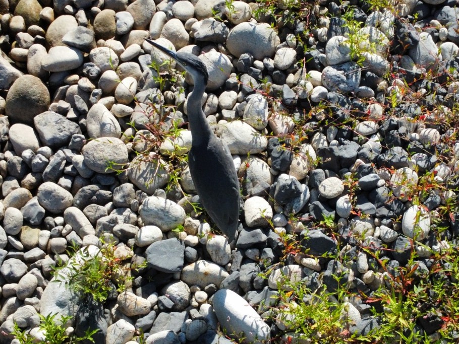 Photo n° 18 of the location
