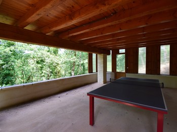 Table de ping-pong