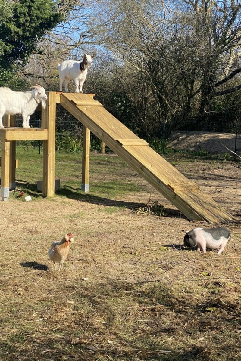 Photo n° 7 de la location