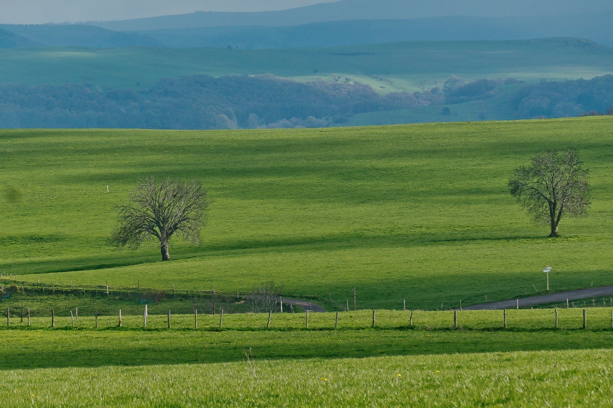 Le printemps arrive à Trossagne
