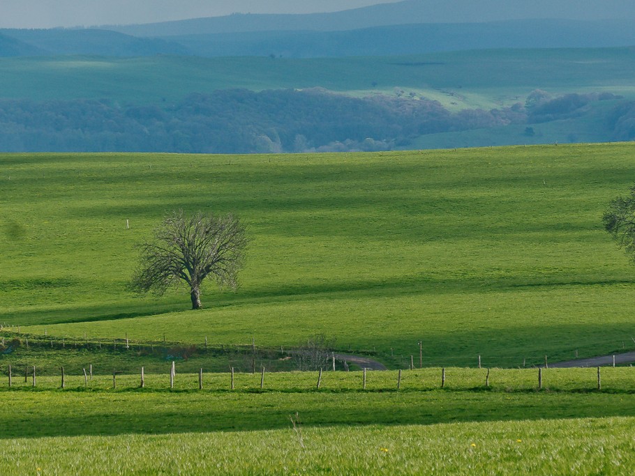 Le printemps arrive à Trossagne