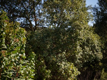 Photo n° 34 of the location