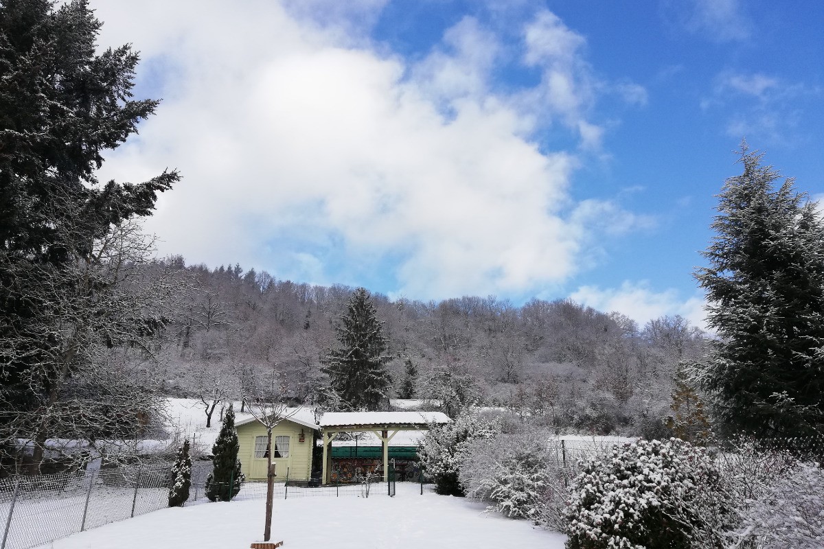 Photo n° 12 de la location
