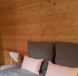 Lit gigogne 2*80 ou canapé