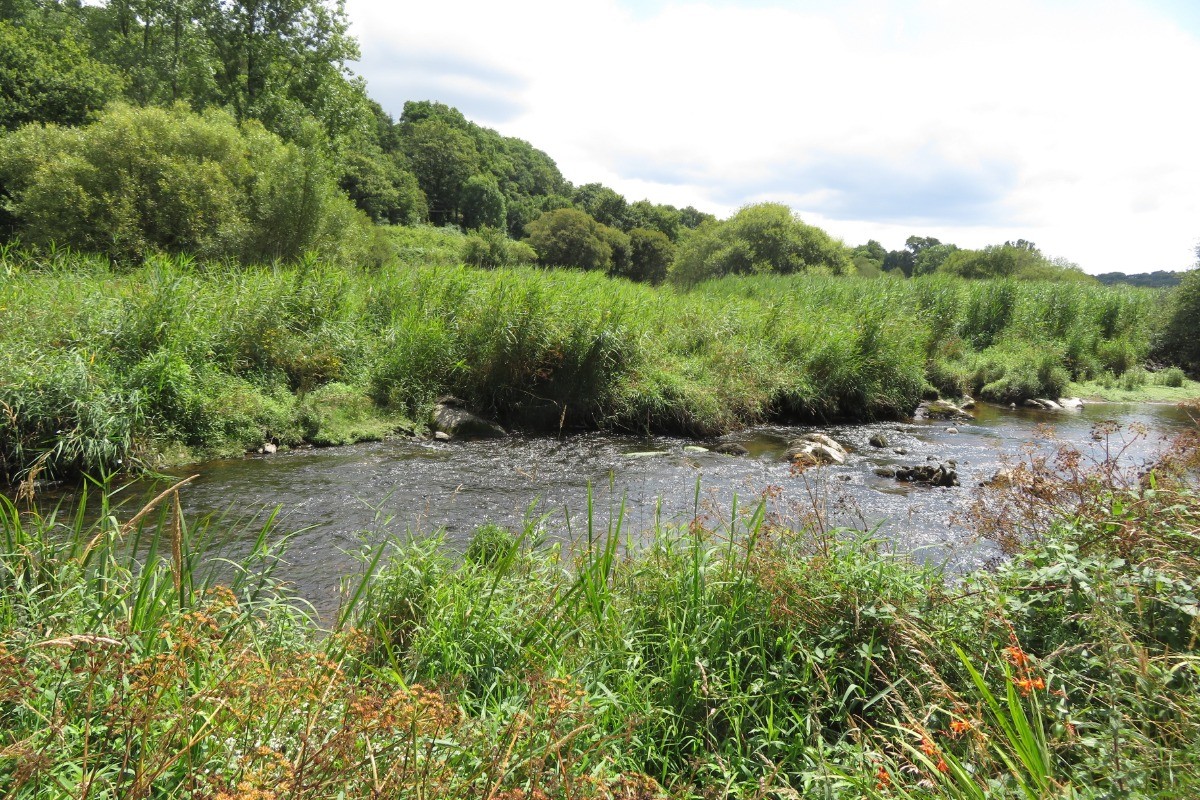 Rivière d'Auray