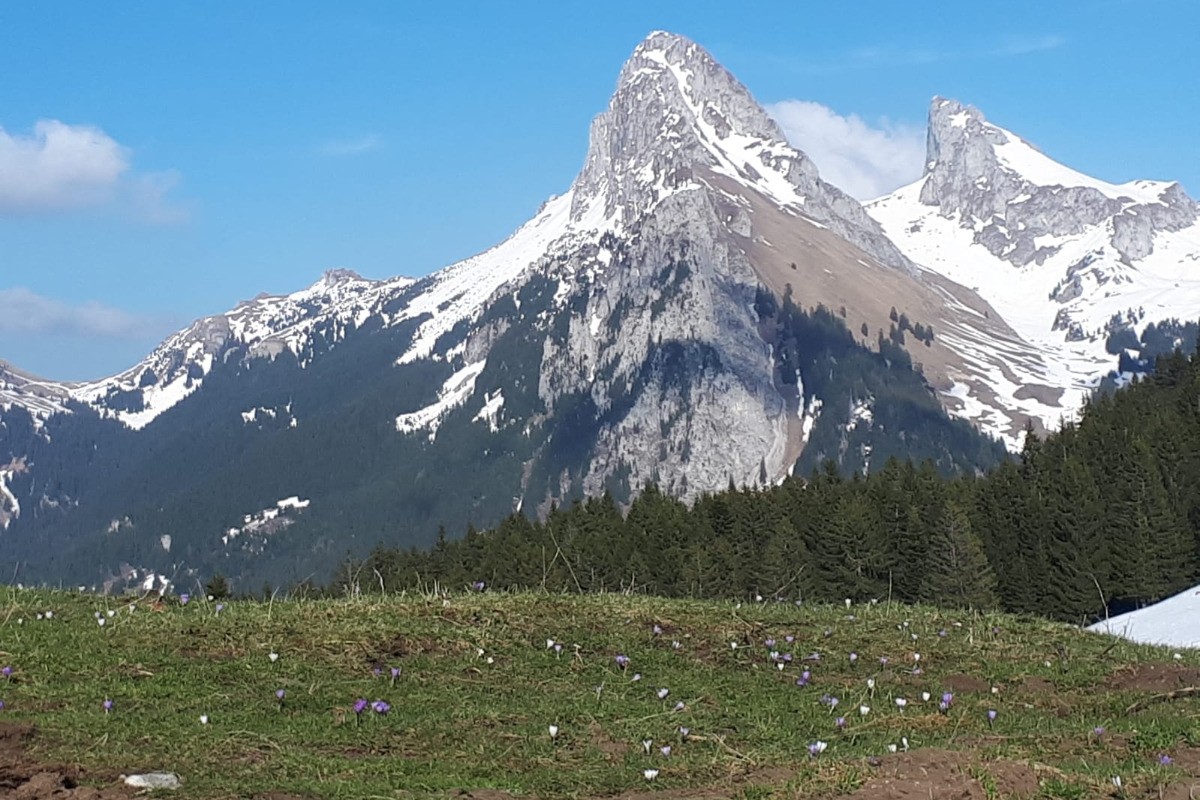 La dent et le château d'Oche