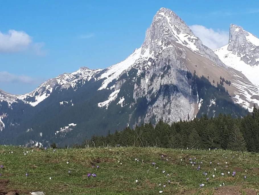 La dent et le château d'Oche